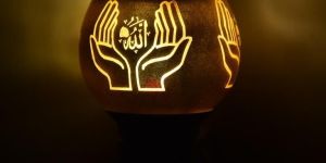 Stylish Electric Kapoor Dani