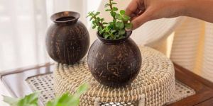 Coconut Shell Flower Pots