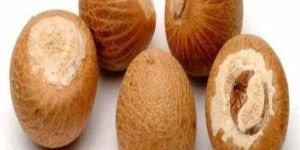 Raw Areca Nuts