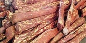 Natural Red Sandalwood Logs