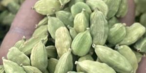 Green Cardamom