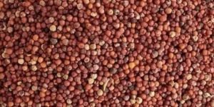 Natural Ragi Finger Millet
