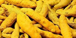 Rajapuri Turmeric Finger