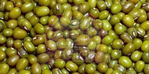 Whole Green Moong Dal
