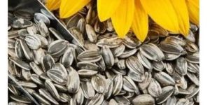 Sunflower Seeds