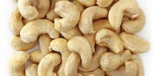 W240 Cashew Nut