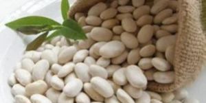 White Kidney Beans