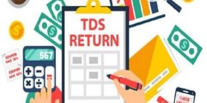 TDS Return Service