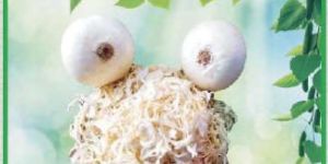 Dehydrated White Onion Flakes