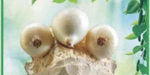 Dehydrated White Onion Powder