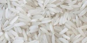 Basmati Rice