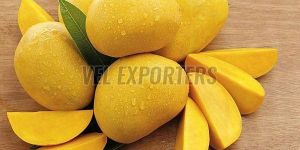 Fresh Alphonso Mango