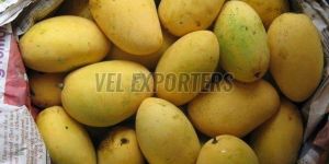 Fresh Chaunsa Mango