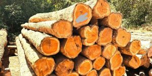 Timber Supply Sourcing Service