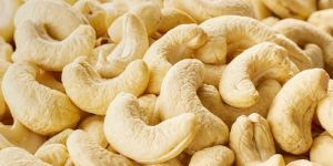 Cashew
