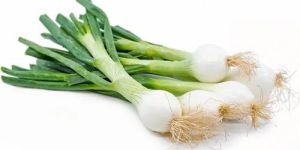 Fresh Spring Onion