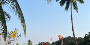 Open Plot Selling Services