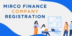 Microfinance Company Registration Service