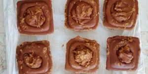 Palm Jaggery Karupatti