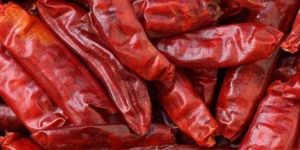 Red Chilli