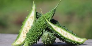 FRESH GREEN BITTER GOURD