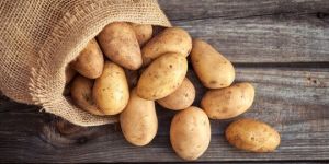 Fresh Brown Potato