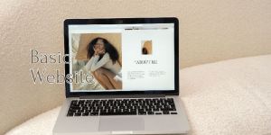 Wordpress Web Development