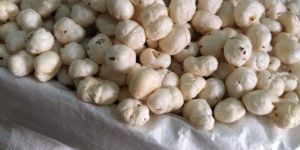 5 Sutta Phool Makhana