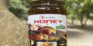 Natural Lychee Honey