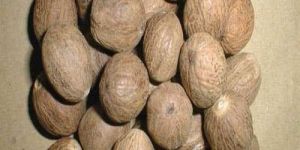 Whole Nutmeg