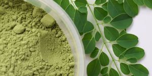 Moringa Leaves Powder