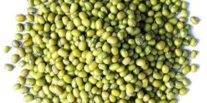 Green Moong