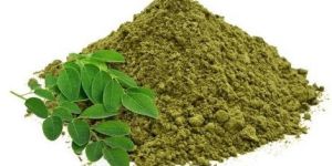 Moringa Dried Leaves