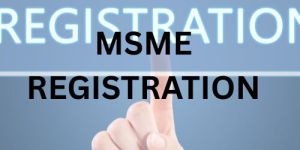 MSME Registration Consultancy Service
