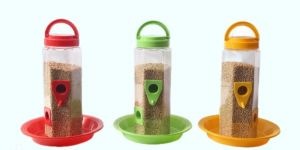 Bird Feeder