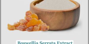 Boswellia Serrata
