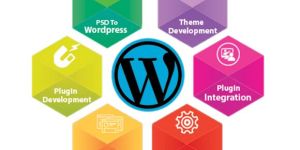 cms designing service