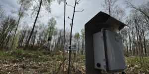 Ugt Talking Tree System