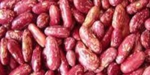Speckled Kidney Beans