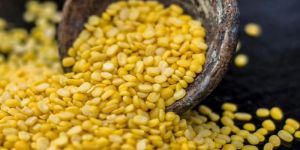 Yellow Moong Dal