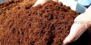 Coir Pith Powder