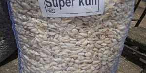 Ooty Super Kuli Grade Fresh White Garlic