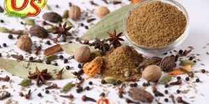 Spices Mirchi Powder