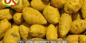 Whole Turmeric Bulb