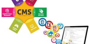 Cms Website Development Services