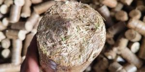 90 Mm Soybean Biomass Briquettes