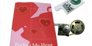 Voice Music Recordable Modules for Audio Promotional Books