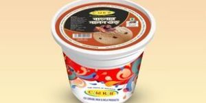 Nolen Gur Ice Cream Cup