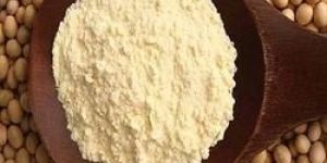 Soy Flour