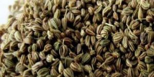 Ajwain Oil